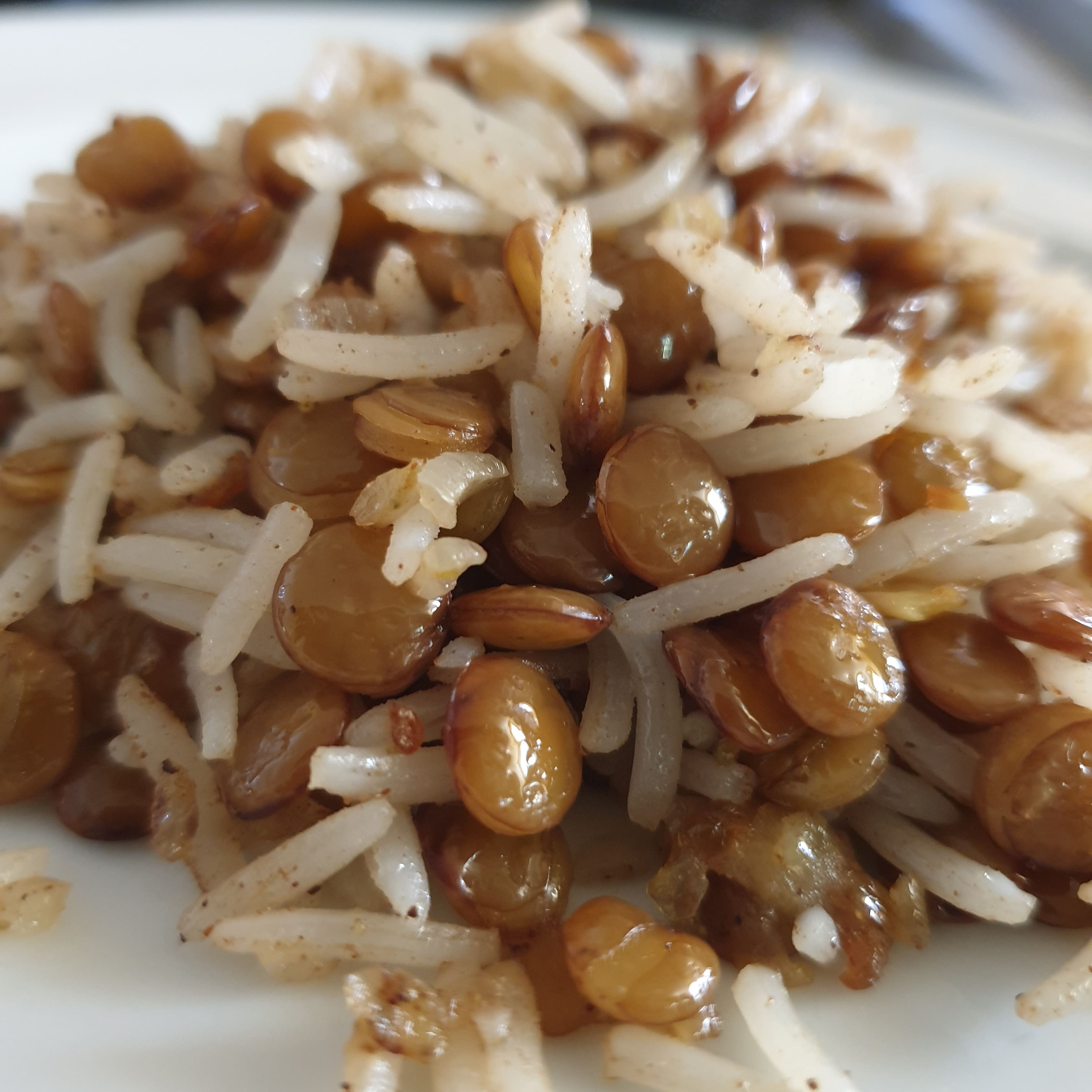 Mudardara مدردرة (مجدرة رز )